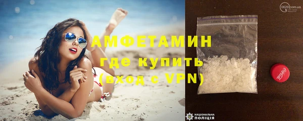 сатива Волоколамск