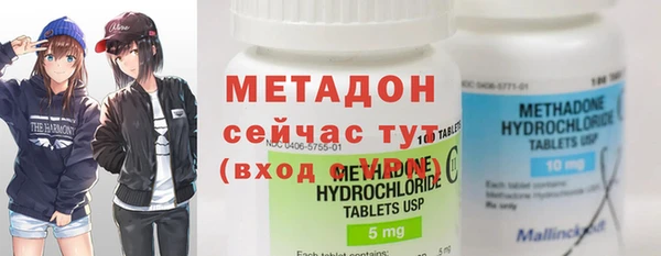 прущие грибы Вяземский