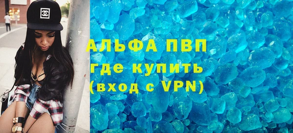сатива Волоколамск