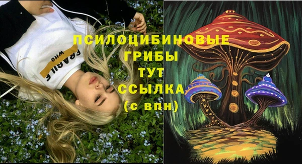 сатива Волоколамск