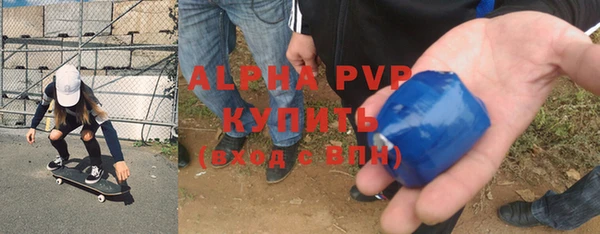 сатива Волоколамск