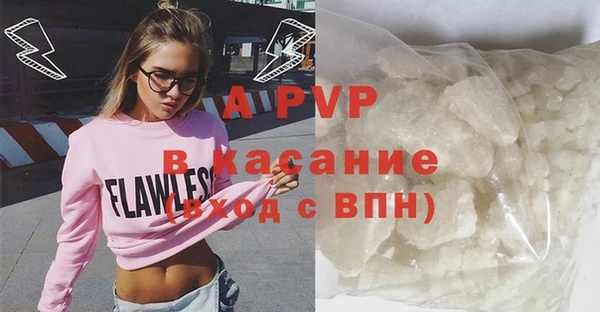 сатива Волоколамск