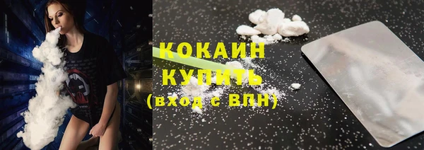 сатива Волоколамск