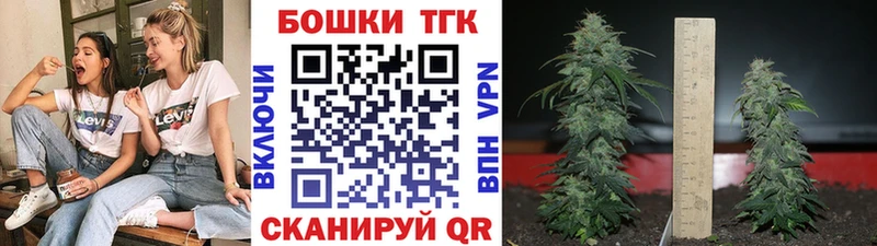 Бошки Шишки планчик Вытегра